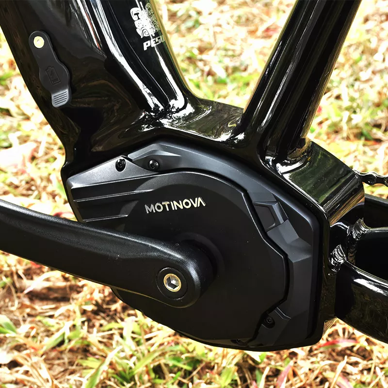 PESU XC MONSTER E-BIKE