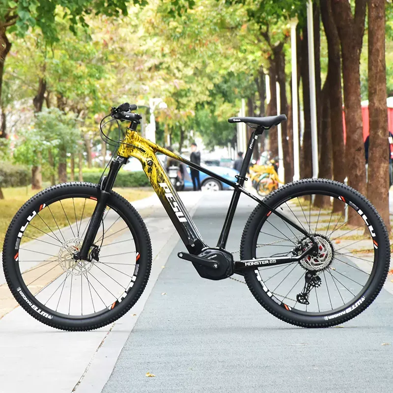 PESU XC MONSTER E-BIKE