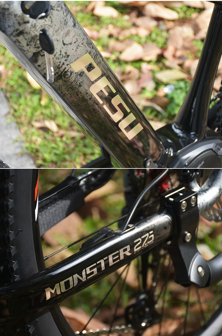 PESU XC MONSTER E-BIKE