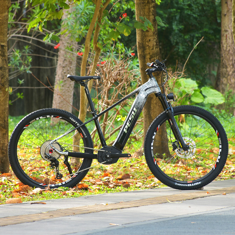 PESU XC MONSTER E-BIKE
