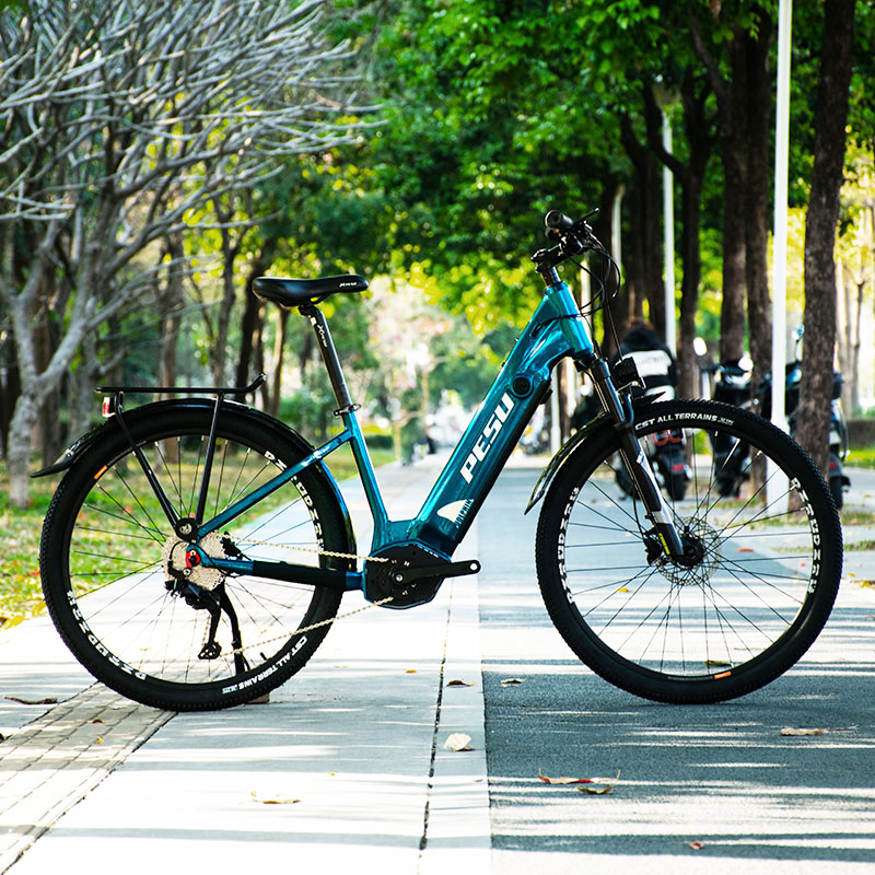 PESU DOLPHIN SR Electric Mountain Bike