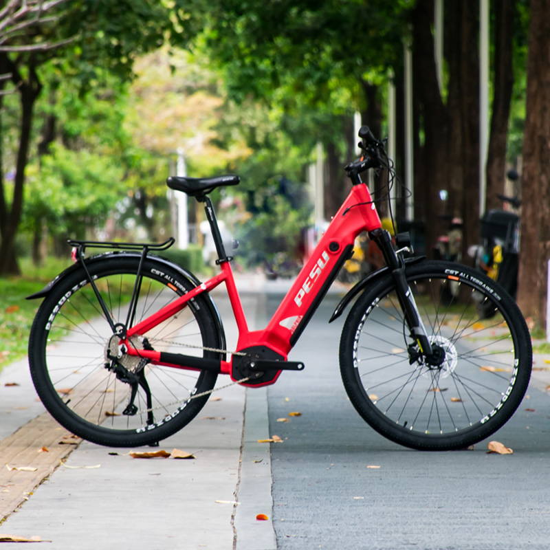 PESU DOLPHIN SR Electric Mountain Bike