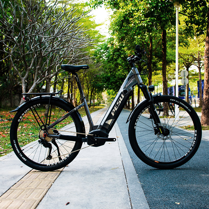 PESU DOLPHIN SR Electric Mountain Bike