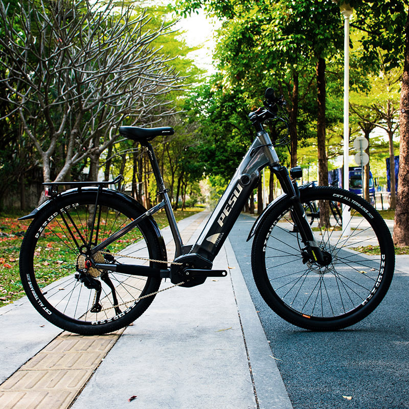PESU DOLPHIN SR Electric Mountain Bike