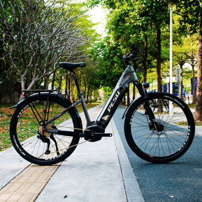 PESU DOLPHIN SR Electric Mountain Bike