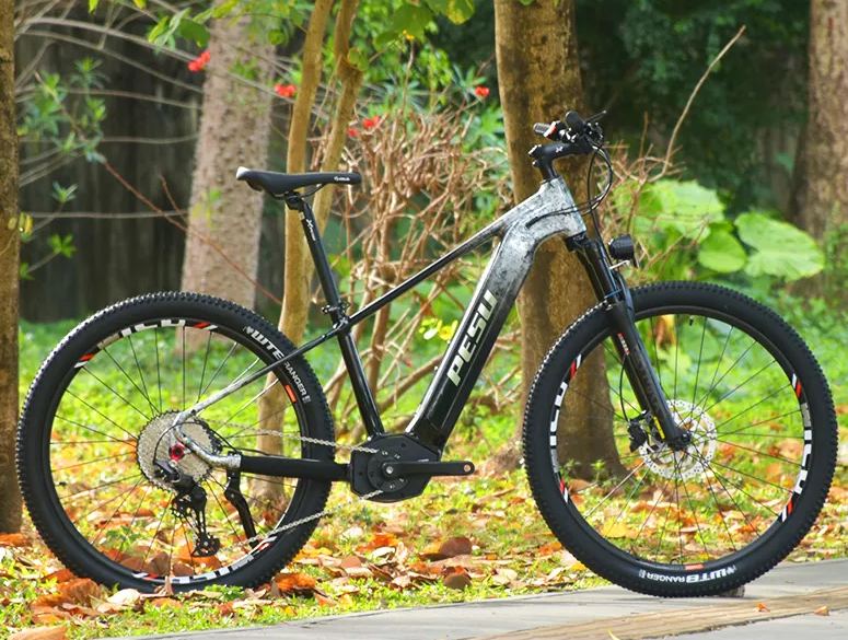 PESU XC MONSTER E-BIKE