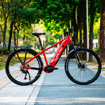 PESU MUSTANG Electric Bike 