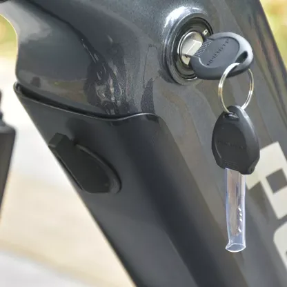 PESU MUSTANG Electric Bike 