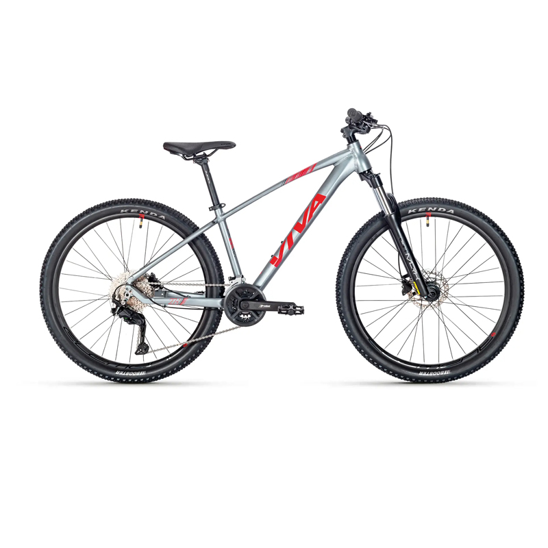 VIVA SURPASS 1.0 Hardtail Mountain Bike