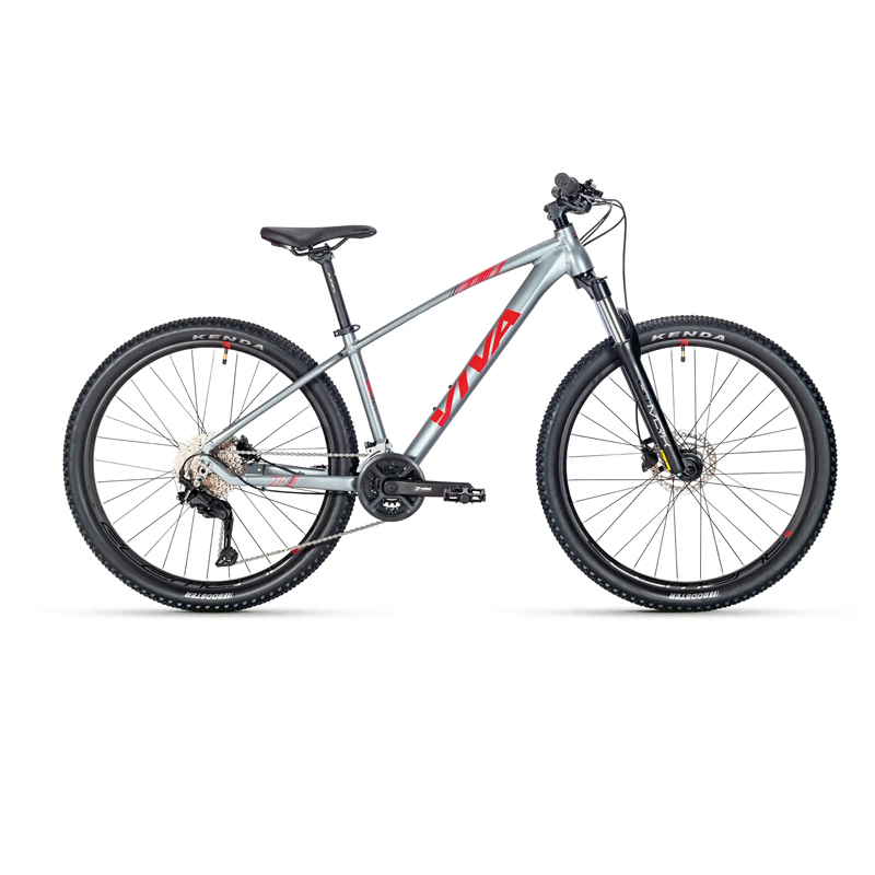 VIVA SURPASS 1.0 Hardtail Mountain Bike