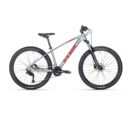VIVA SURPASS 1.0 Hardtail Mountain Bike
