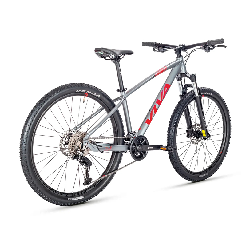 VIVA SURPASS 1.0 Hardtail Mountain Bike