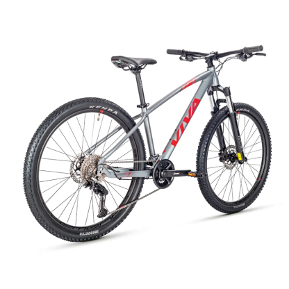VIVA SURPASS 1.0 Hardtail Mountain Bike