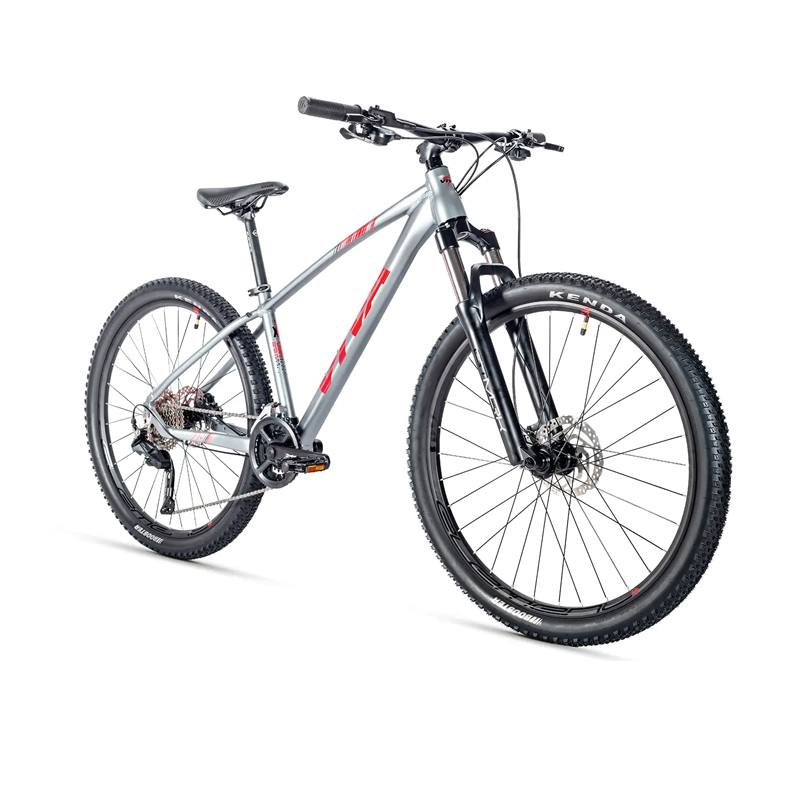 VIVA SURPASS 1.0 Hardtail Mountain Bike