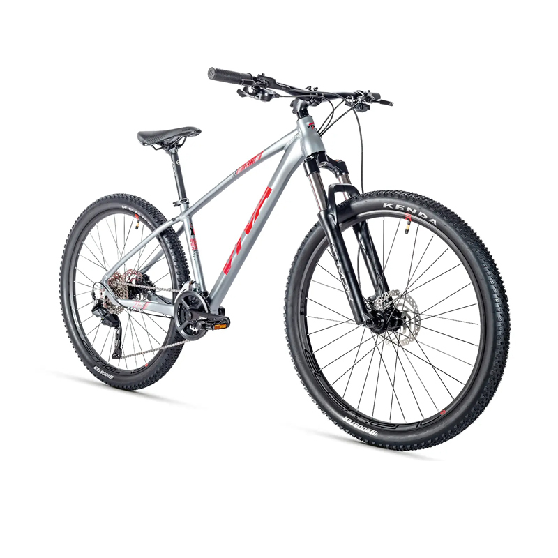 VIVA SURPASS 1.0 Hardtail Mountain Bike