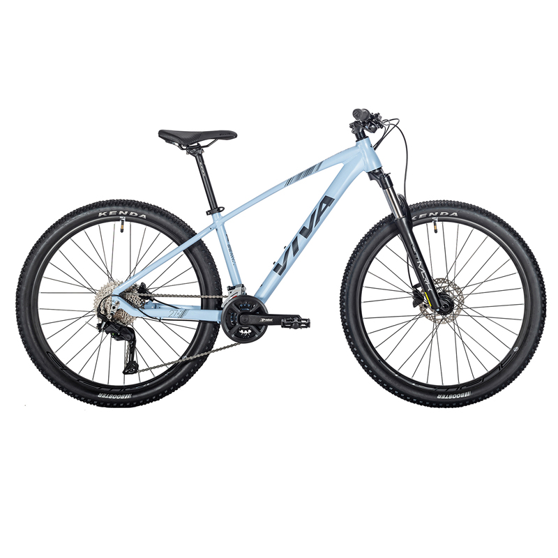 VIVA SURPASS 1.0 Hardtail Mountain Bike