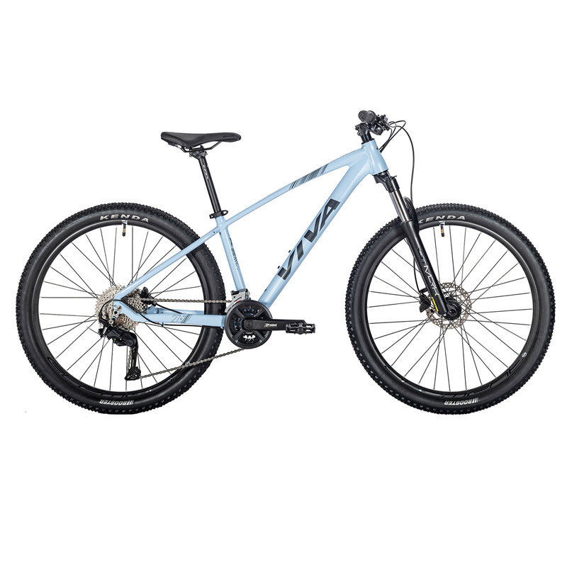 VIVA SURPASS 1.0 Hardtail Mountain Bike