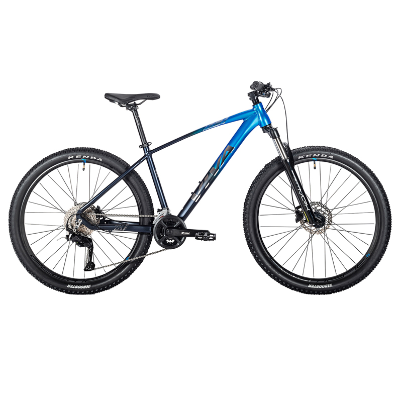VIVA SURPASS 1.0 Hardtail Mountain Bike