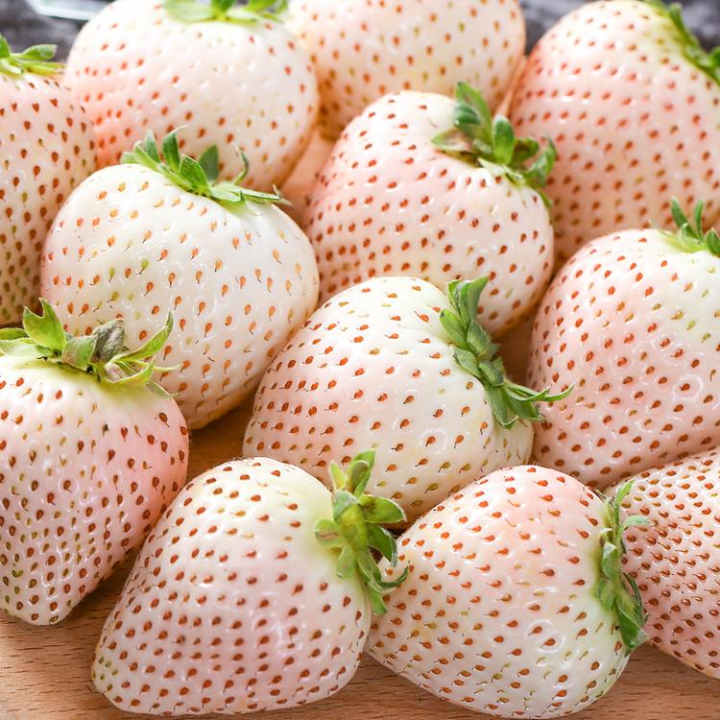 🍓🖤 Riesige Black Diamond Erdbeeren Samen – süß, nährstoffreich & einfach zu Hause anzubauen