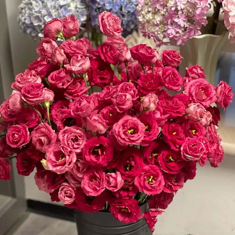 🔥Последен ден на продажба💝Eustoma Thornless Rose💐Семена от лизиантус