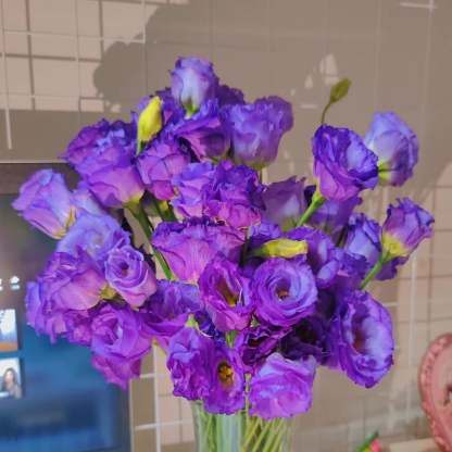 🔥Последен ден на продажба💝Eustoma Thornless Rose💐Семена от лизиантус