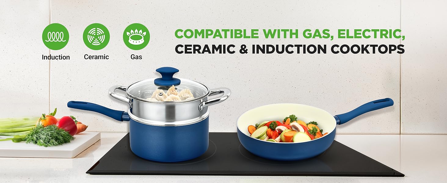 induction gas electric ceramic stovetop cookware pot pan cooking vegetables dumplings glass lids