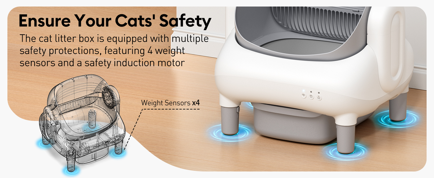 Ensure cats&amp;#39; safety
