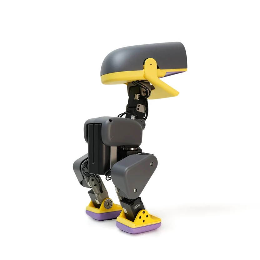 🔥LAST DAY 60% OFF - NeoDuck AI Biped Robot – Play, Code & Train New Moves