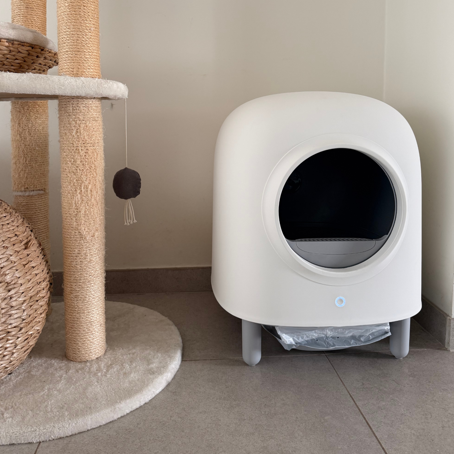 Self-Cleaning Litter Box