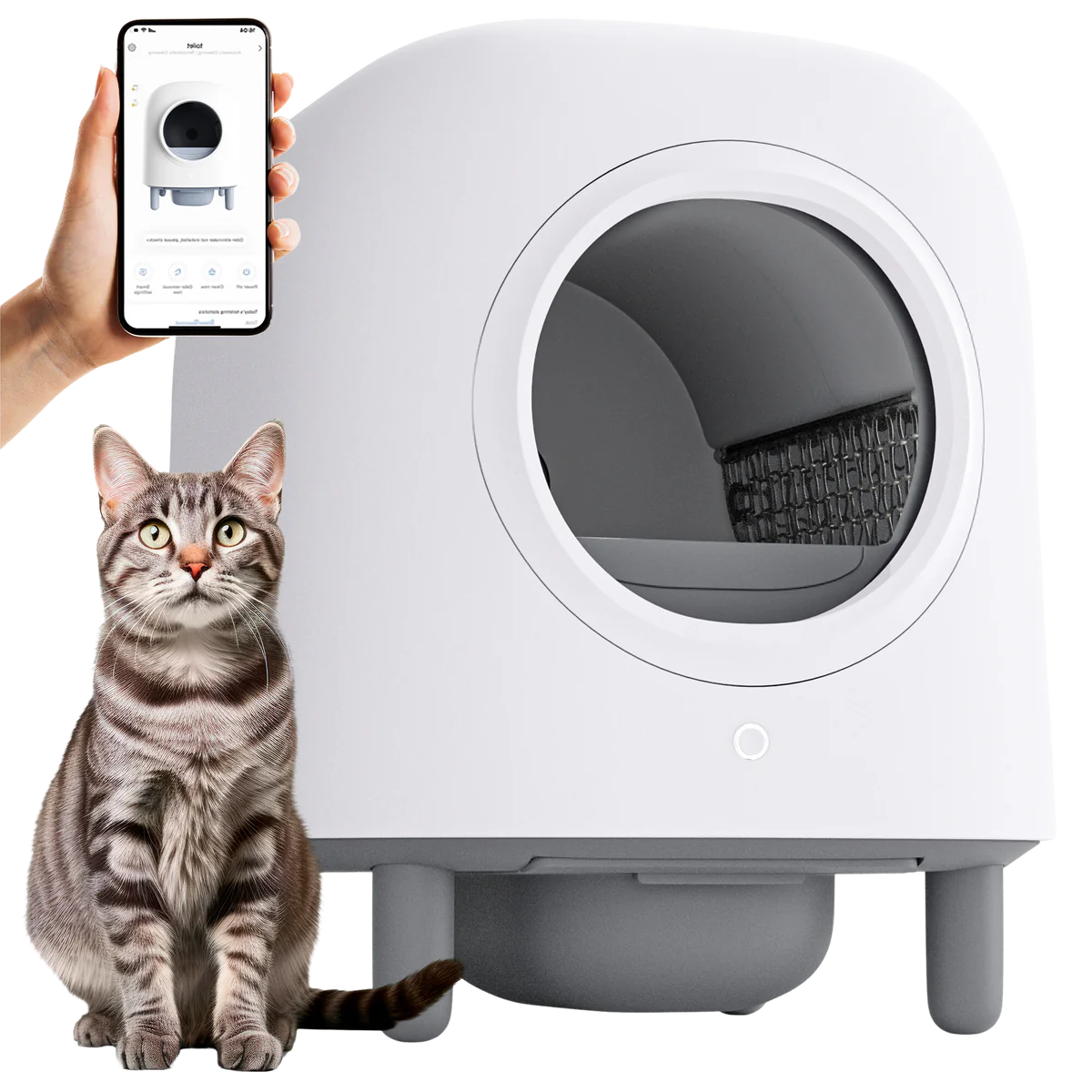Self-Cleaning Litter Box