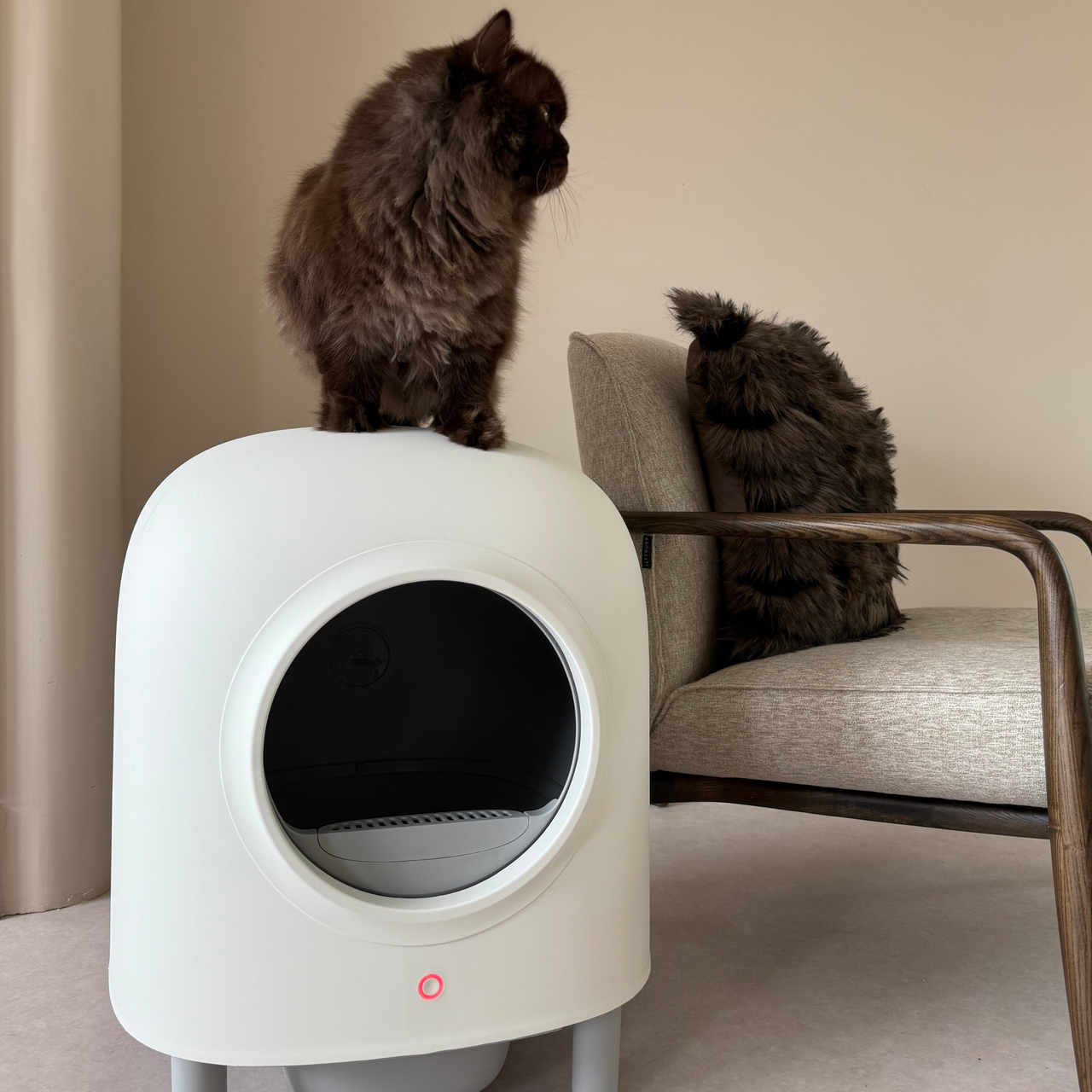 Self-Cleaning Litter Box