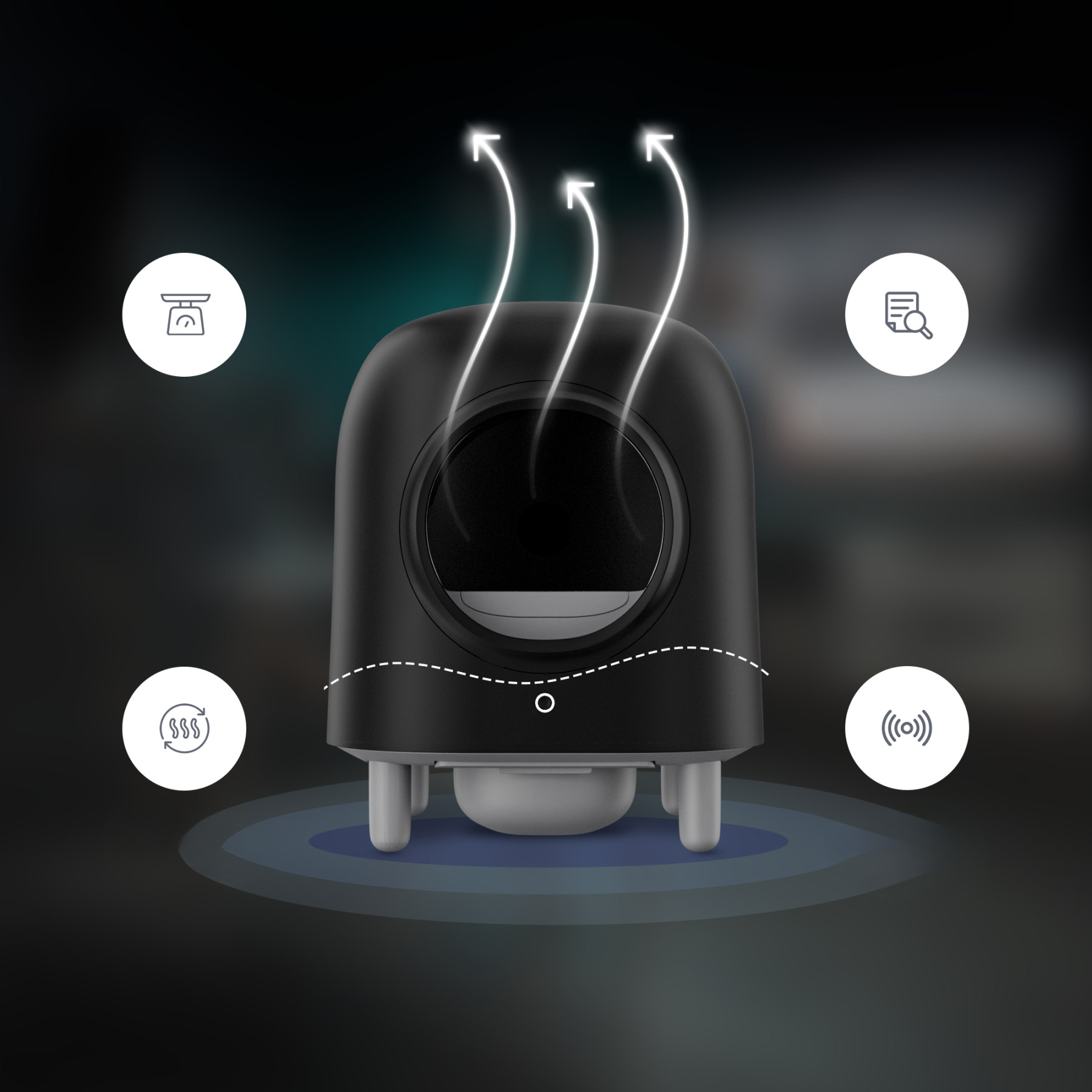 Self-Cleaning Litter Box