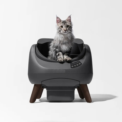 Self-Cleaning Litter Box - Multi-Cat