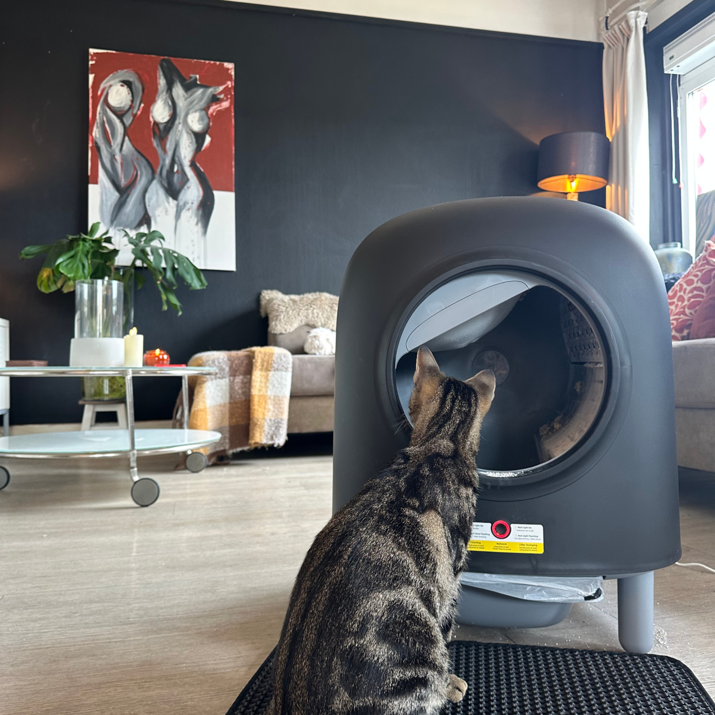 Self-Cleaning Litter Box