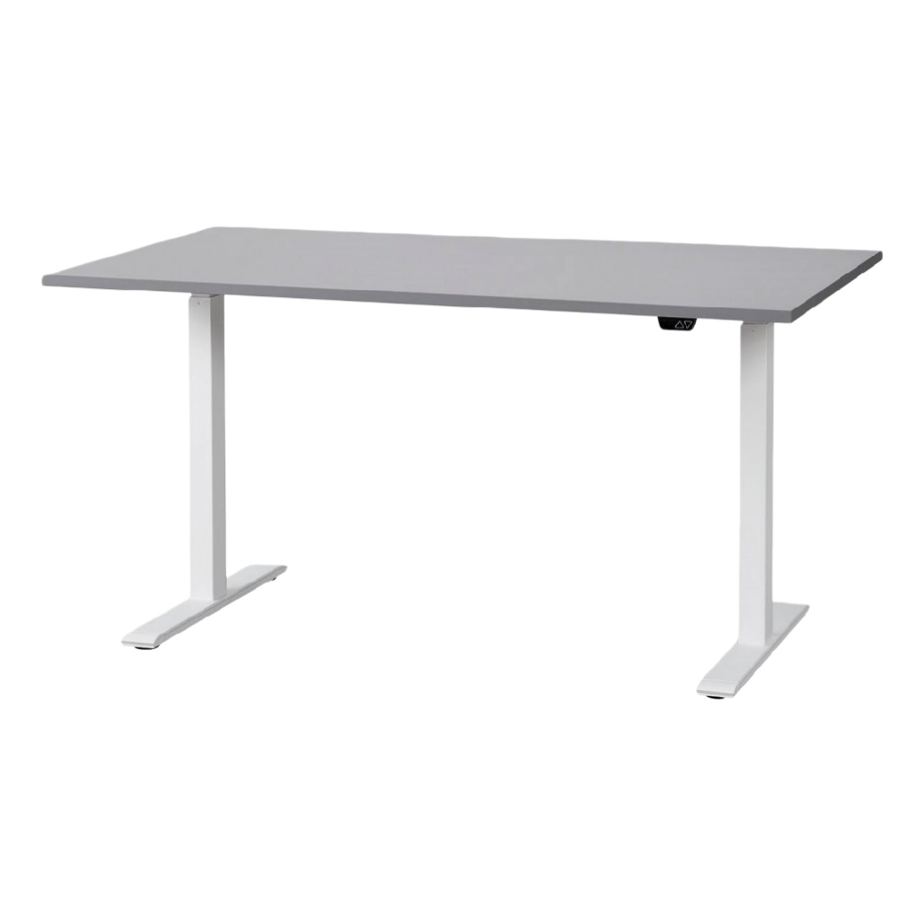 Table de bureau réglable en hauteur pour espace de travail en métal et MDF - 120 x 60 x 75-homaranest.com