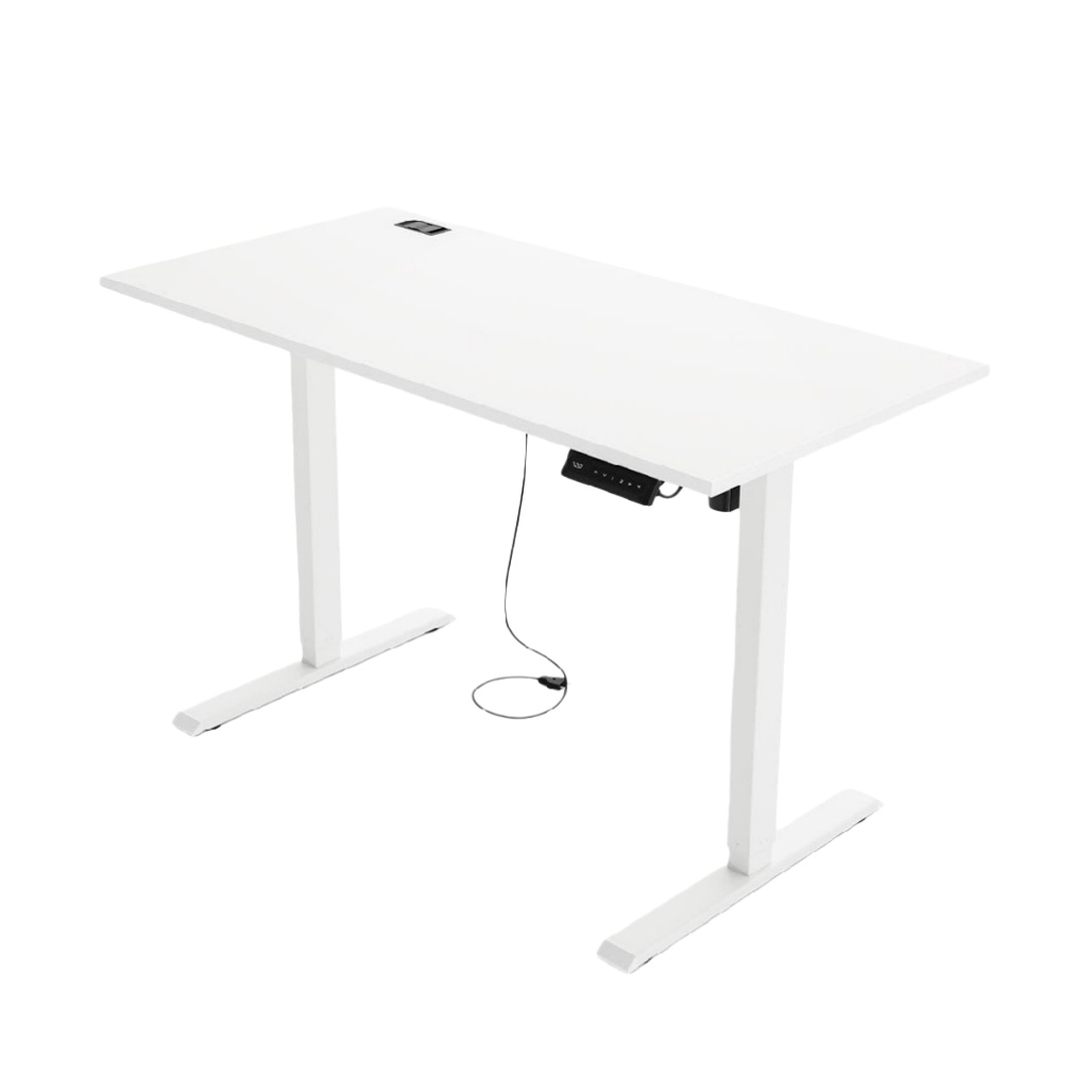 Table de bureau réglable en hauteur en métal et panneau de bois - 160 x 80 x 75-zenlorahome