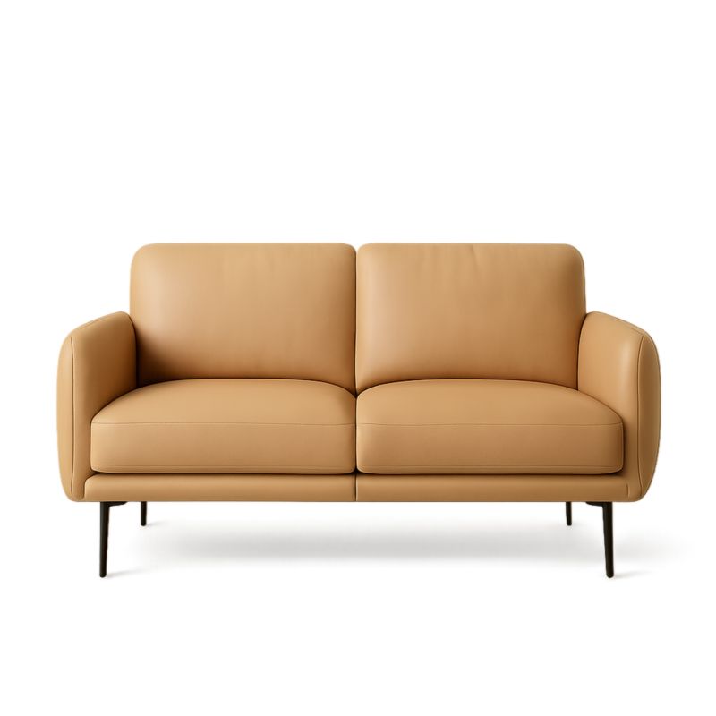 Canapé 2 places en cuir PU beige avec pieds en métal