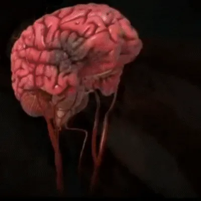 Product details image