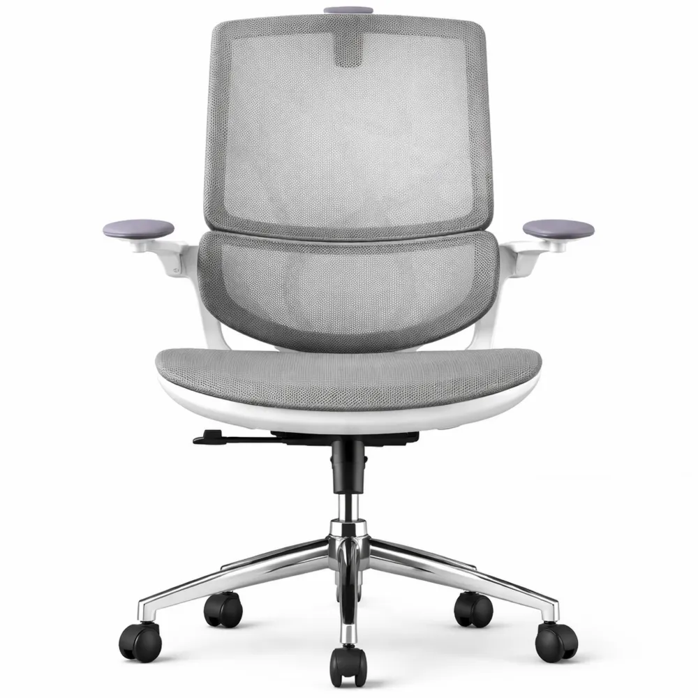 Chaise ergonomique de bureau avec accoudoirs ajustables et dossier double