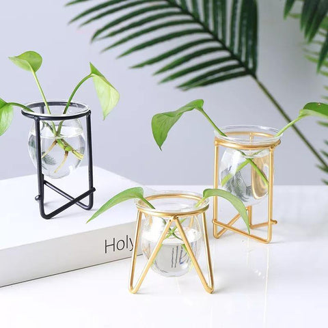 Glass Plant Vase as Desktop Decoration