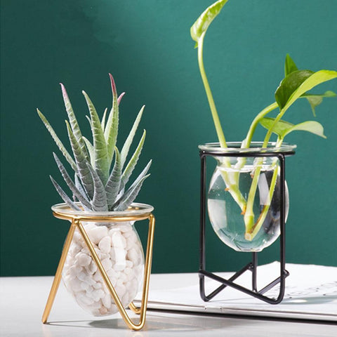 Glass Plant Vase with Modern Iron Stand