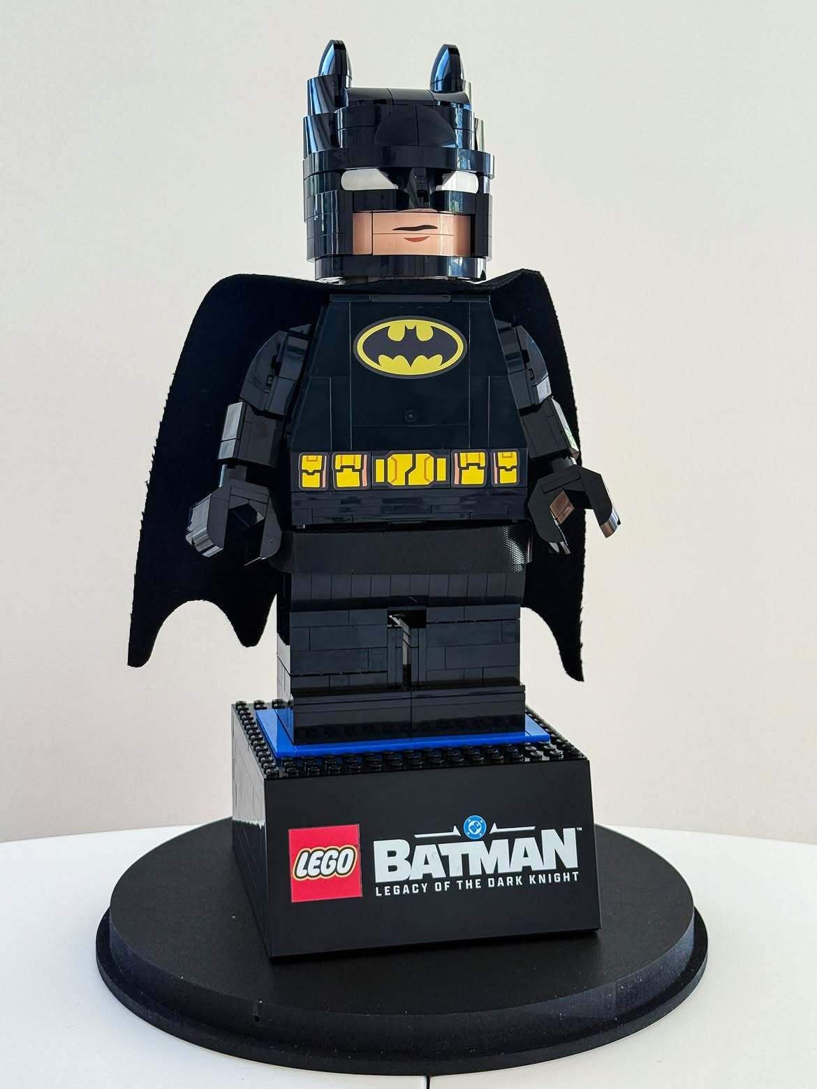LEGO Batman:Legacy of the Dark Knight