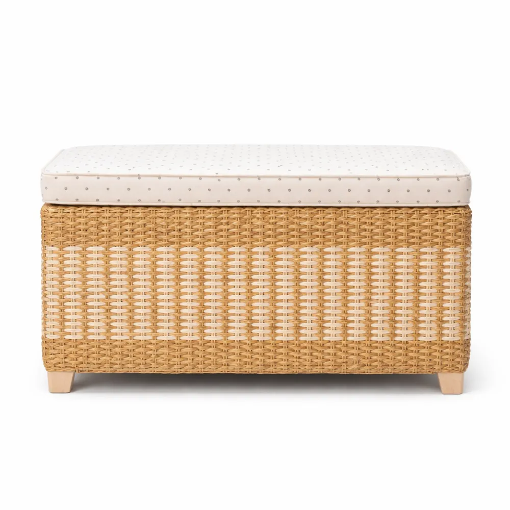 Pouf Rangement en Rotin avec Coussin pour Salon ou Chambre