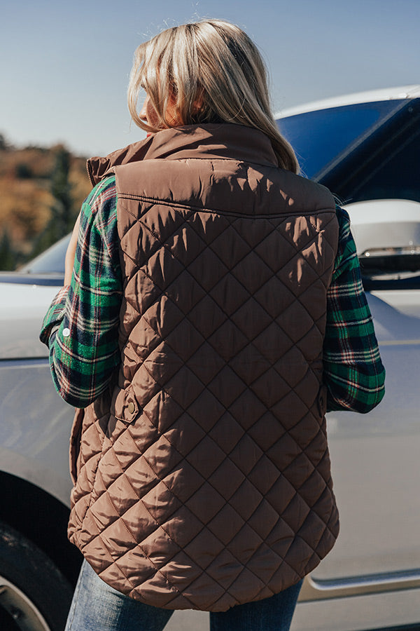 Big Bear Lake Quilted Vest in Mocha-Beginning Fashion