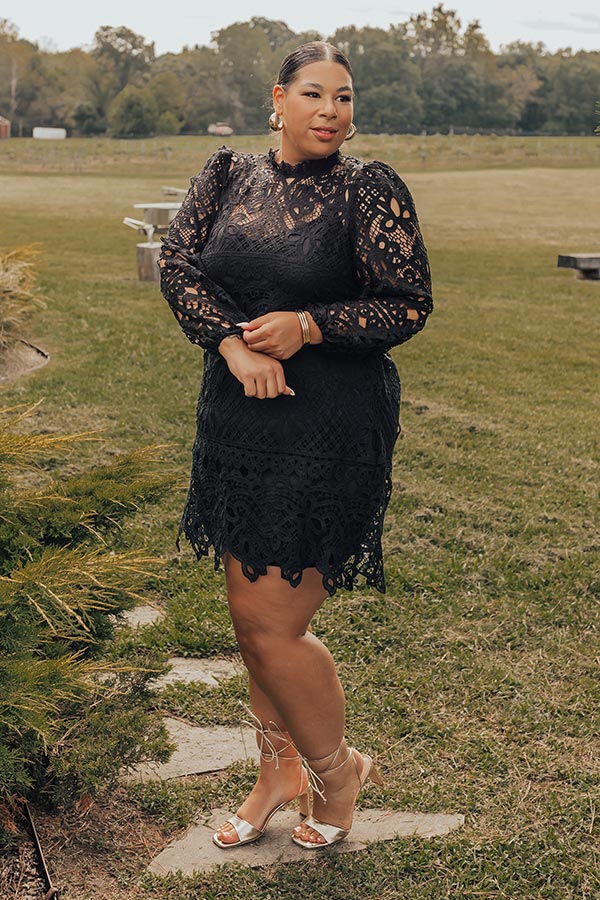 Delicate Daze Lace Mini Dress Curves-Beginning Fashion