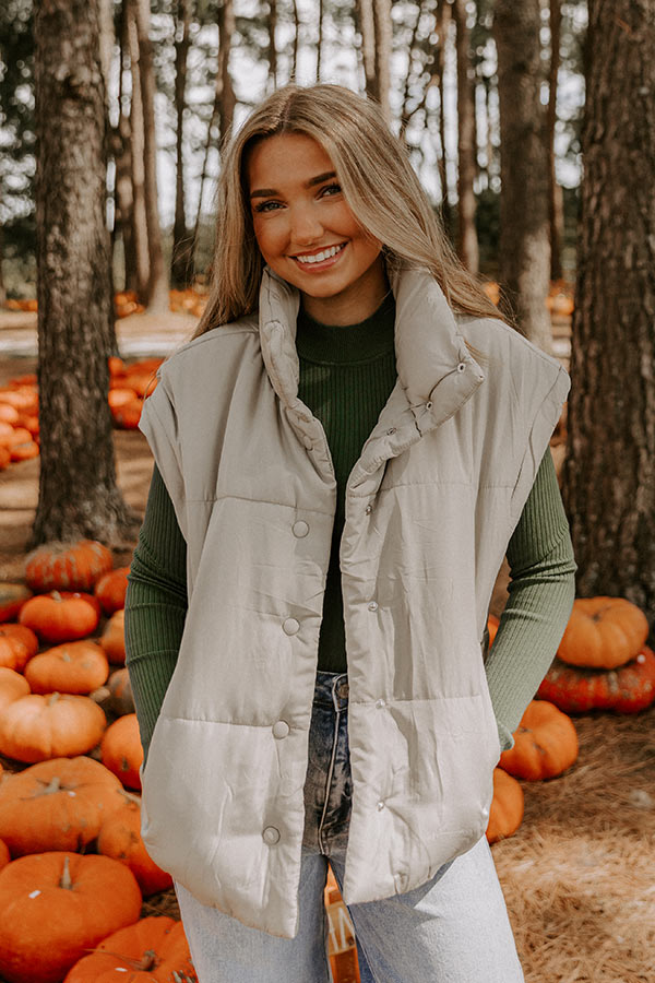Brisk Stroll Puffer Vest in Stone-Beginning Fashion
