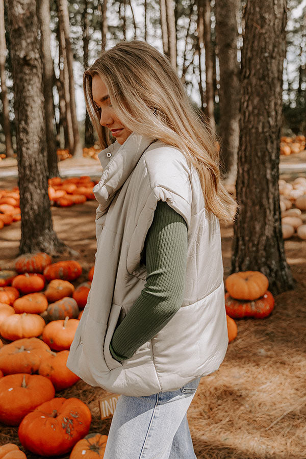 Brisk Stroll Puffer Vest in Stone-Beginning Fashion