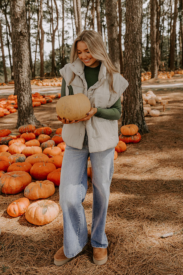 Brisk Stroll Puffer Vest in Stone-Beginning Fashion