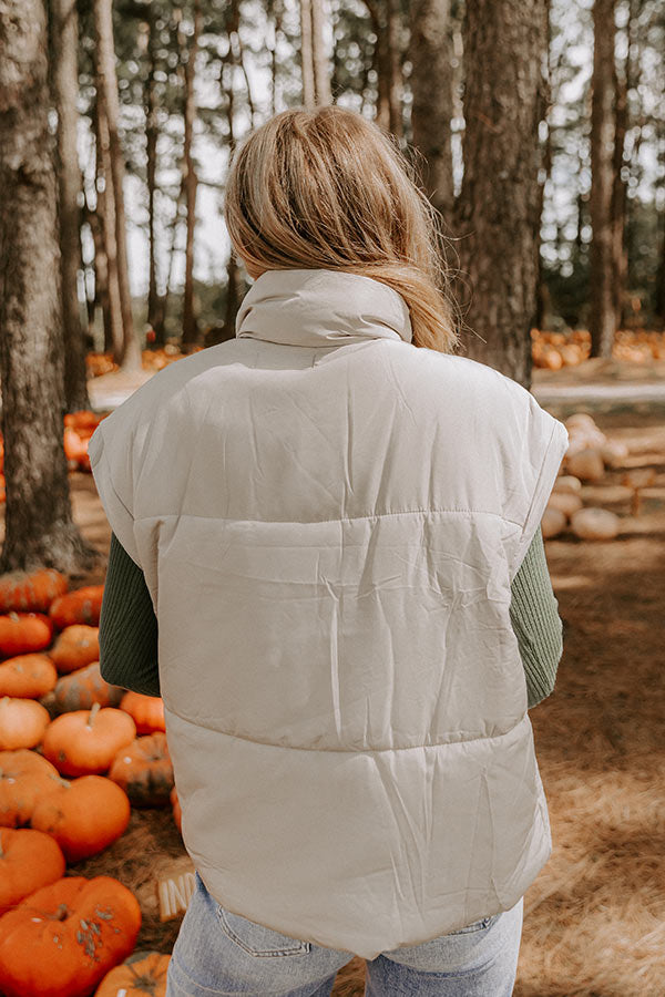Brisk Stroll Puffer Vest in Stone-Beginning Fashion
