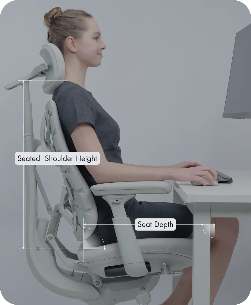 Bionic Dynamic Ergonomic Chair